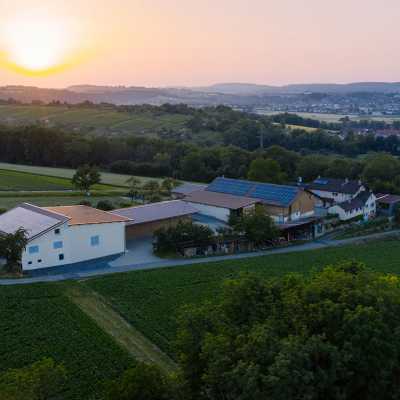 kinzinger-weingut-hof-wein-header-1